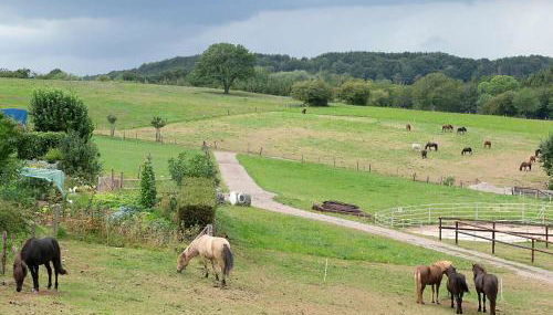 Ferienwohnung Roderath - Photo 2