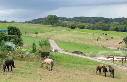 Ferienwohnung Roderath - Photo 2