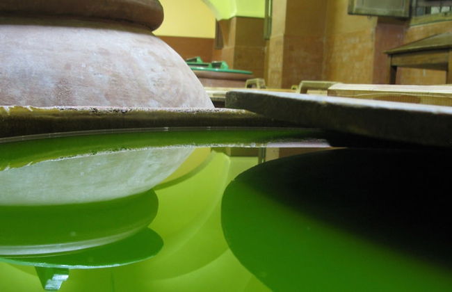 Agriturismo La Fattoria di Capezzana - Foto 35