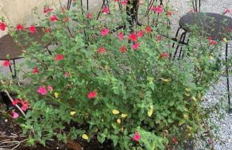 Holiday Home les Milandes in Sainte-Mondane by Interhome - Foto 8