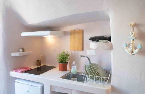 Bird Nest-Santorini Cave houses - Foto 28