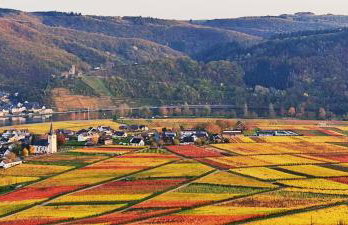 Ferienhaus Moselpanorama - Foto 7