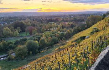 Gästehaus zum Rosengarten - Photo 59