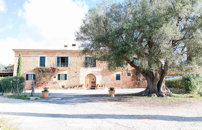 Finca Es Cabas - Photo 64