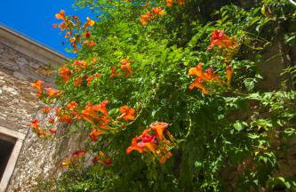 Apartman Ana - Photo 37