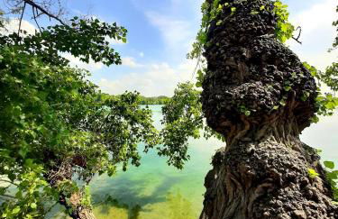 Ferienwohnung "Am Blauwasser" mit Infrarotkabine - Foto 30