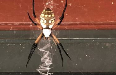 Fishers Of Men Ranch Home - Photo 42