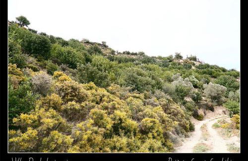 Villa Daskalogianni - Foto 68