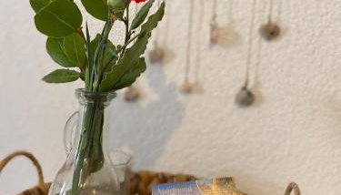 Apartments Ivana - Foto 4