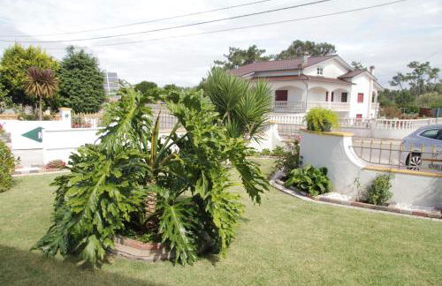 O Cantinho da Rosa - Foto 77