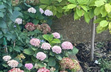 Beautiful&quite warehouse - Foto 34