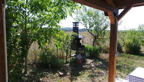 Izpiliku - Foto 4, Garden, Garden view