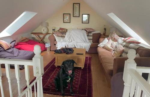 Little Owl - Photo 5