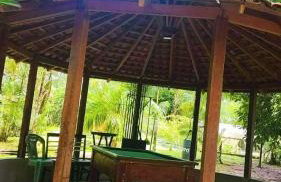 Chácara Bela Vista - Photo 20