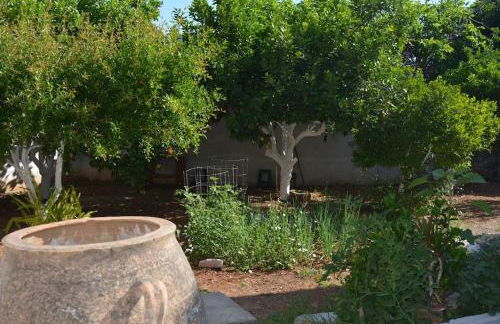 Sergios Village House - Foto 49