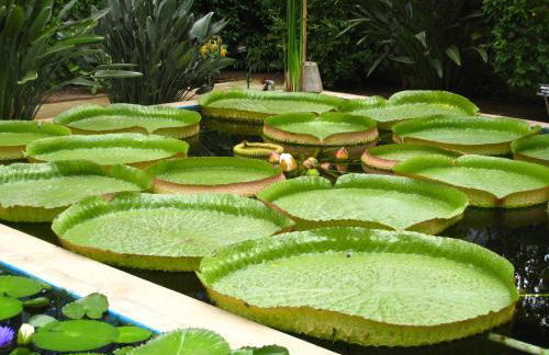 Casa Vacanze La Formica - Foto 29