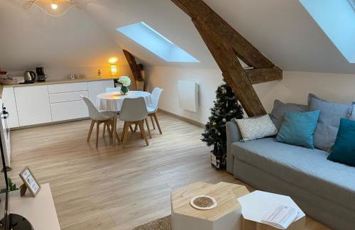 Chez Gustave charmant T2, 4 min place Ducale - Foto 6