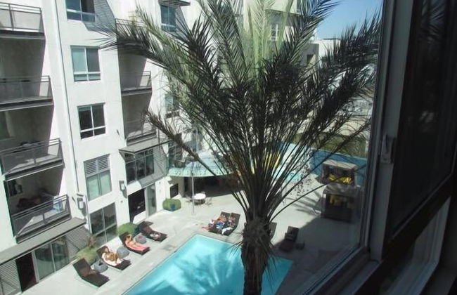 Full Amenities One Bedroom - Photo 11