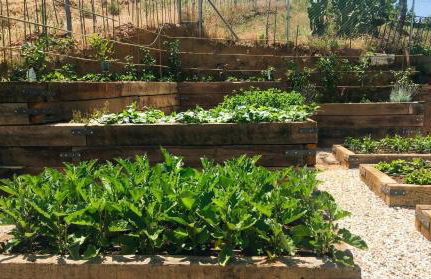 La Escribana - Photo 45