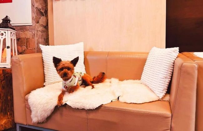 Hotel Crocus - Foto 67