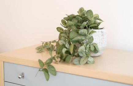 Luxury 1-Bed Apartment Near city centre and North Manchester General Hospital - Foto 19