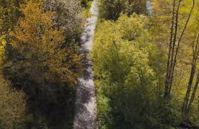 Lohmann's Landhaus zum See - Foto 79