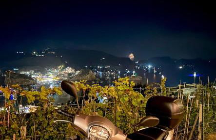 Domus Ɫ Ponza SeaView - Foto 11