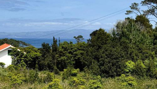 Casa do Domingos - Photo 4