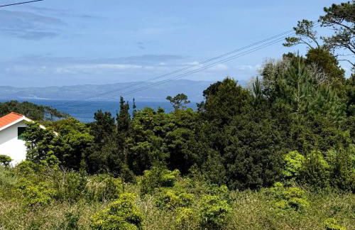 Casa do Domingos - Photo 4