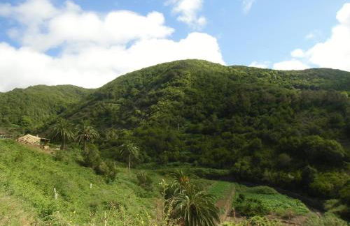 Casa Rural El Rincón de Antonia - Foto 31
