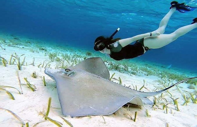 Cozumel Day Trip - Photo 4