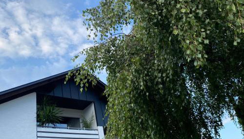 FeWo Skywalk Willingen - Foto 3