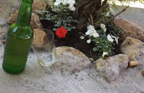 Flor de Pomar - Foto 78