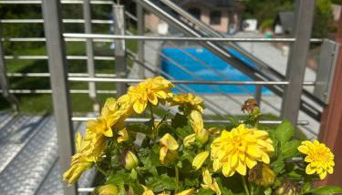 Ferienwohnung Auszeit im Südharz - Foto 4