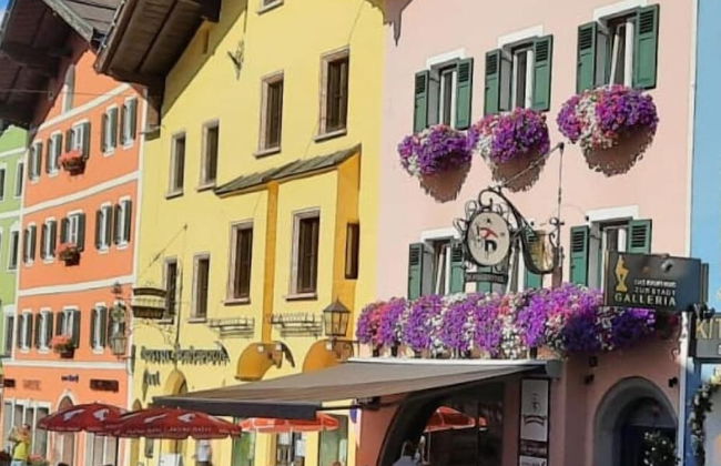 Belle Kitz Pure - Foto 17