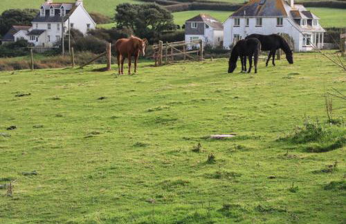 6 Ocean's Edge - Foto 15