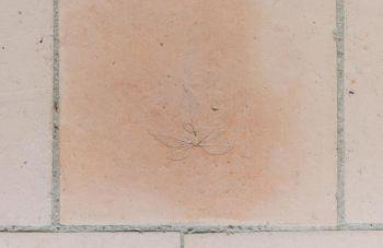 Spinks Nest - a boutique cottage near Holt, North Norfolk - Foto 20