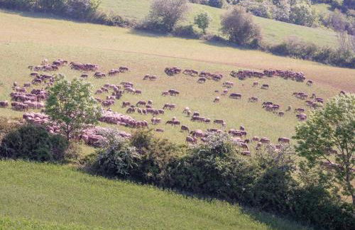 Appartement vue panoramique 2 personnes Horizon - Foto 20