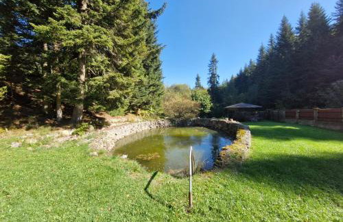 Rodzinny Dom Wypoczynkowy - Foto 49