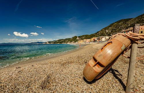 Outdoor Apt - Free Park - Bike Shuttle 3min - Foto 2