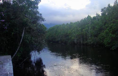 Casa Enorme para 12 pessoas, 4 suites e um fundo com 18mil metros de mata e um pier no rio que sai para o mar-Internet 100MB - Photo 39