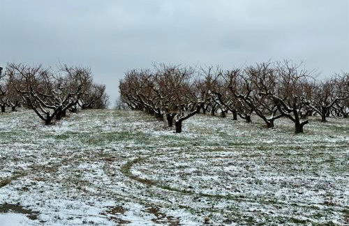 Historic Farm Cottage on 800-Acre Orchard - Foto 53