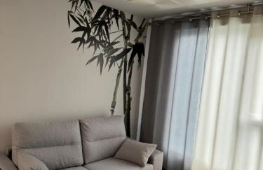 Apartamentos Turisticos Peregrin Palas - Foto 33