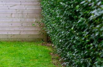 Ô Berges 6p avec jardin privé près Boulogne-sur-mer - Foto 24