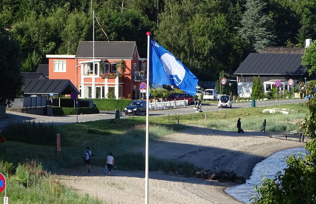 "Veselin" - 100m from the sea - Foto 6