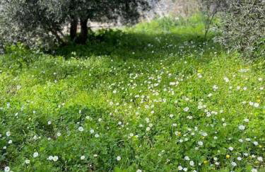 Kareshome-Privacy-view - Photo 33