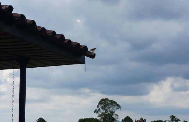 FINCA EL PÓRTAL - Photo 15