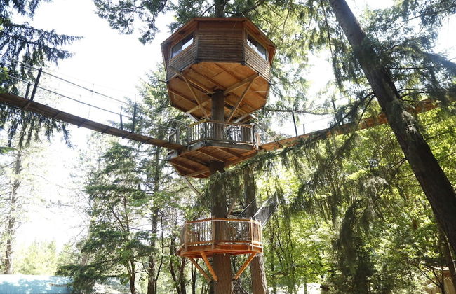 Out 'N' About Treehouse Treesort - Photo 5