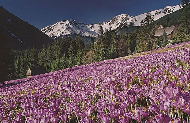 Senderismo en los montes Mesa - Privado - Foto 1