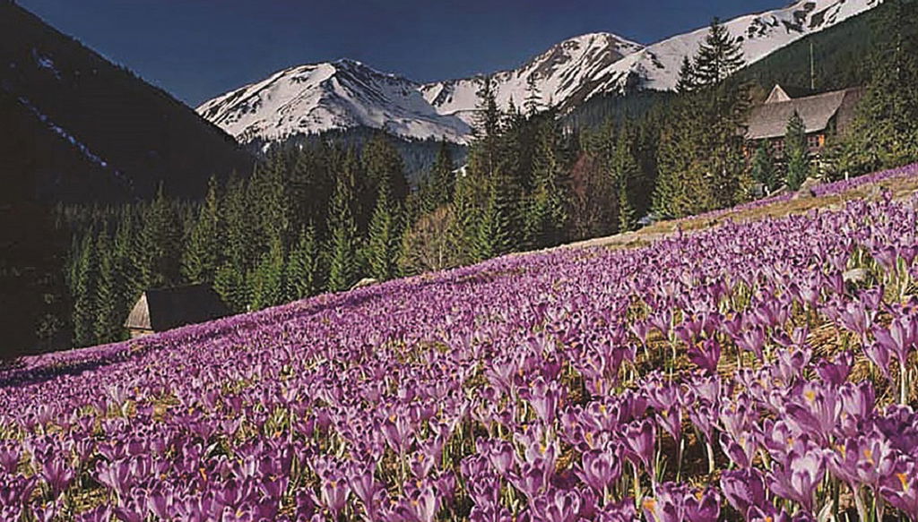 Trekking nei Monti Tavola - Privato - Foto 1